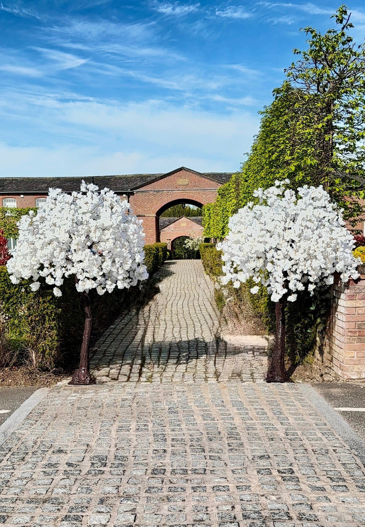 7ft2 pair of Deluxe Ivory Blossom Trees – Available for rental