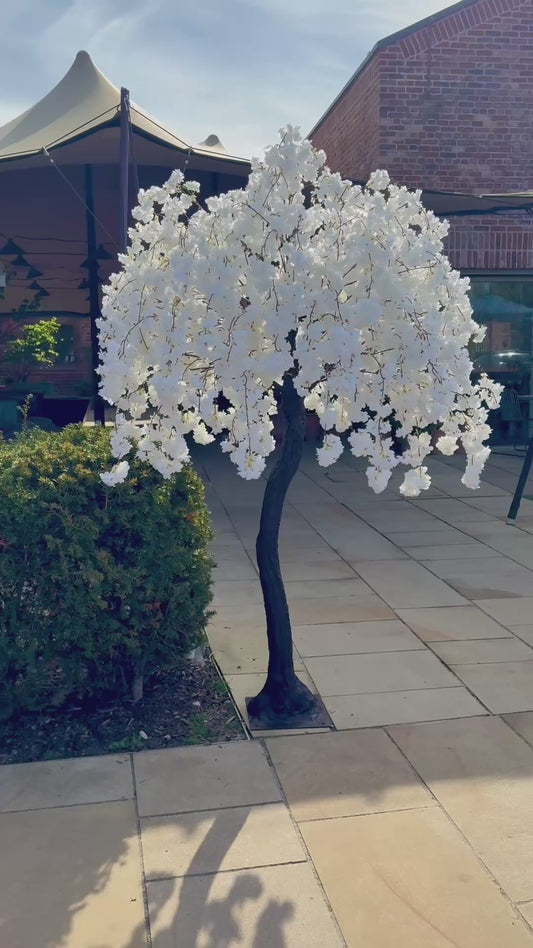 7ft2 pair of Deluxe Ivory Blossom Trees – Available for rental